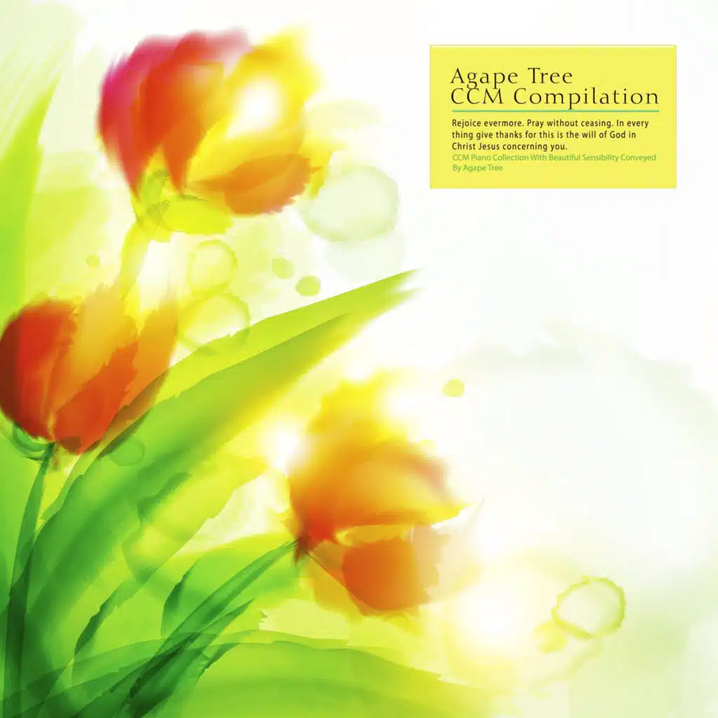 CCM Piano Collection With Beautiful Sensibility Conveyed By Agape Tree