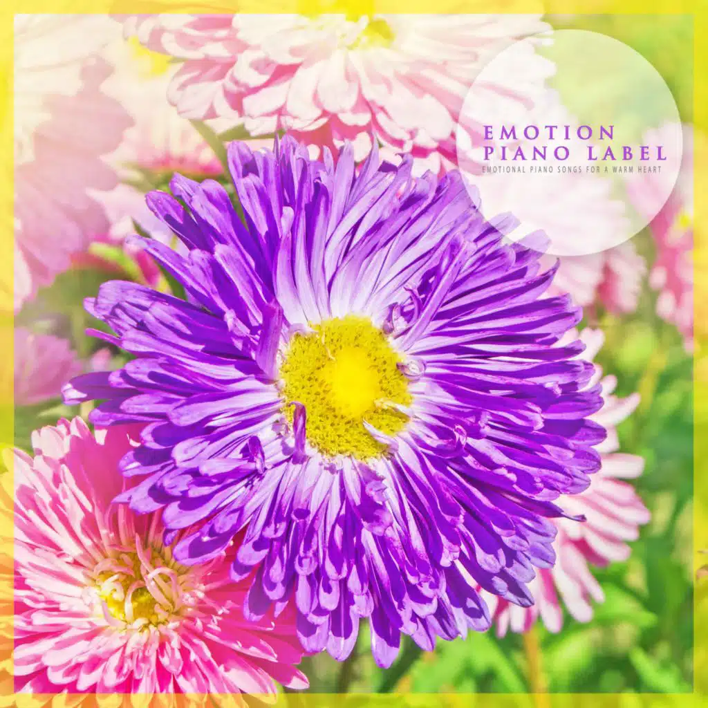 Emotional Piano Songs For A Warm Heart