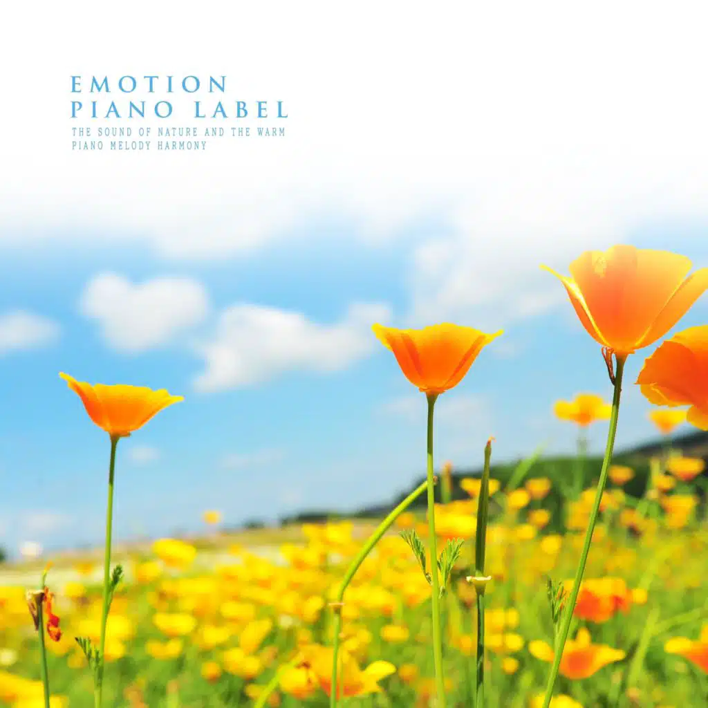 The Sound Of Nature And The Warm Piano Melody Harmony (Nature Ver.)