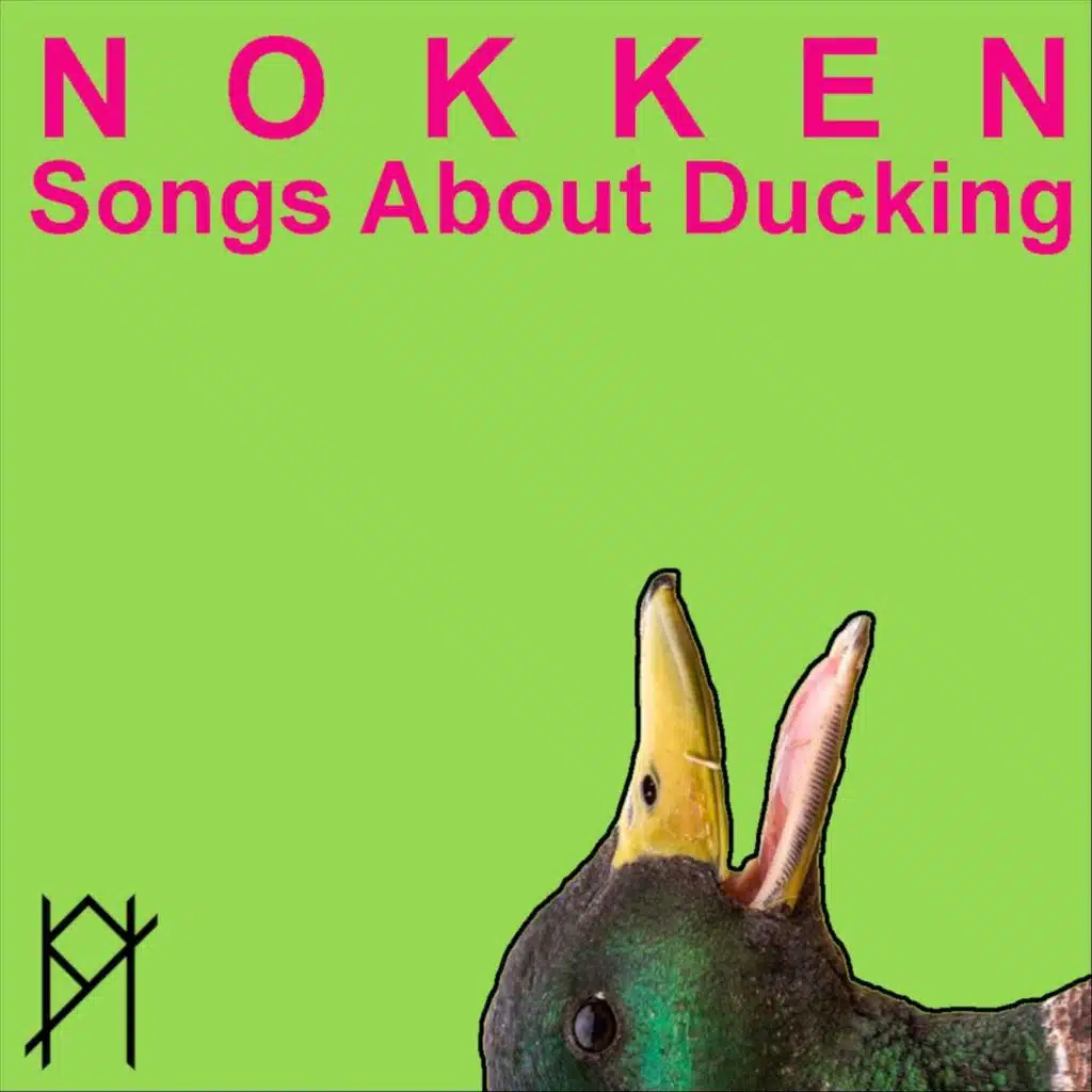 Nokken