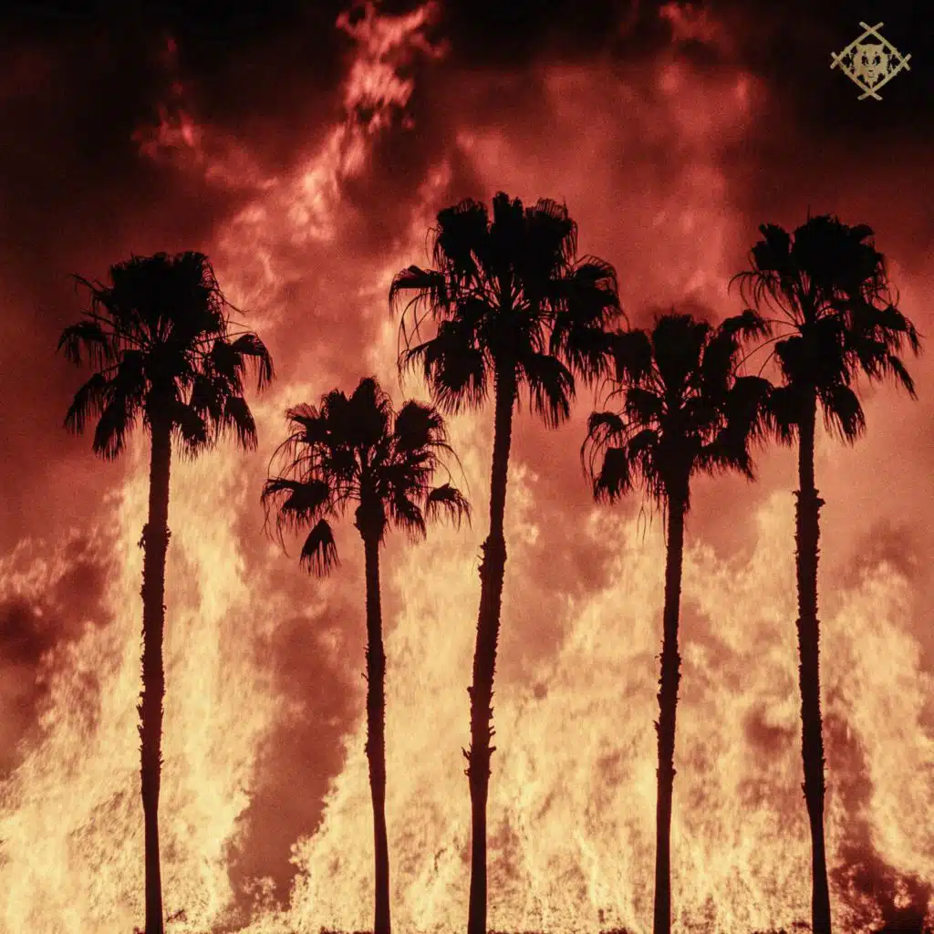 Xavier WULF & Quintin Lamb