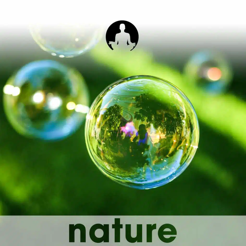 Floating in Bubbles: Relax Whilst Washing the Dishes