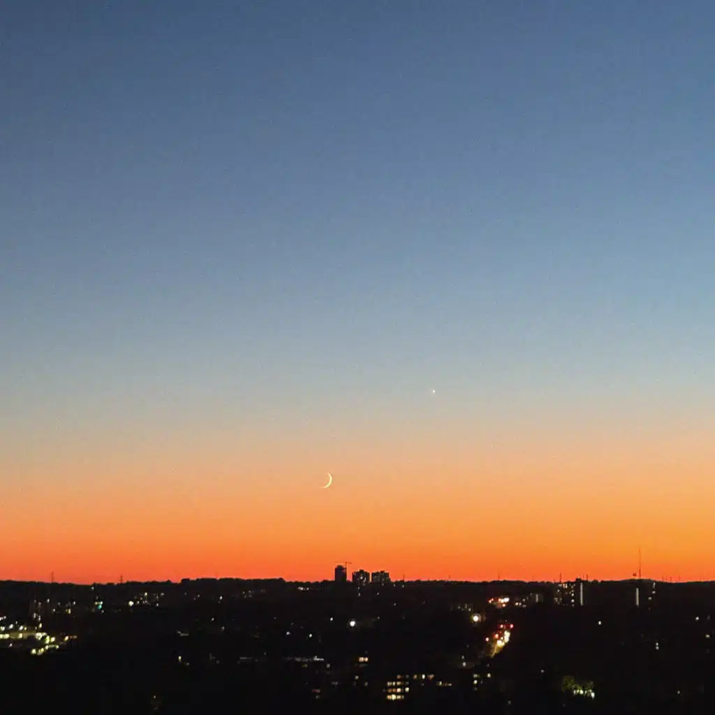 Brxvs & Late Night Tones