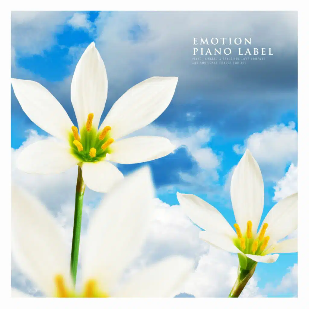 What Does Not Change