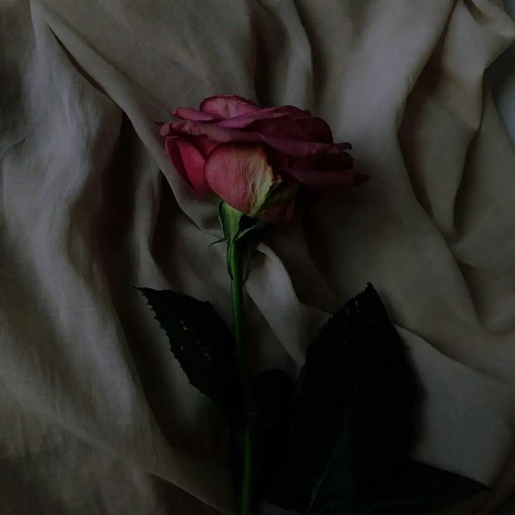 I'm Drunk And Confused