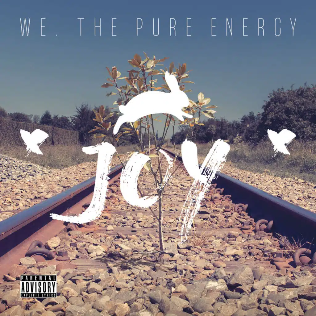 We, The Pure Energy