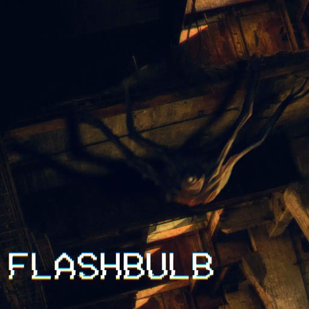 Flash Bulb