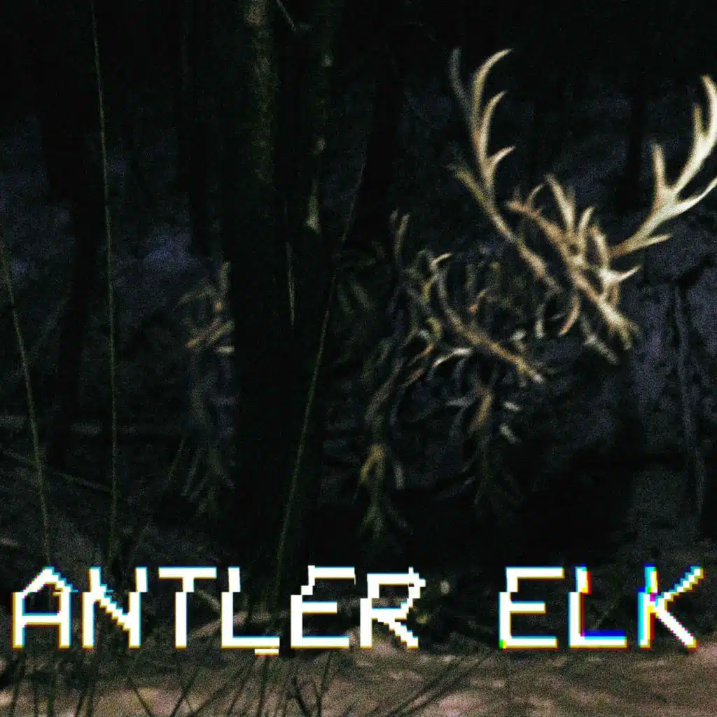 Antler Elk