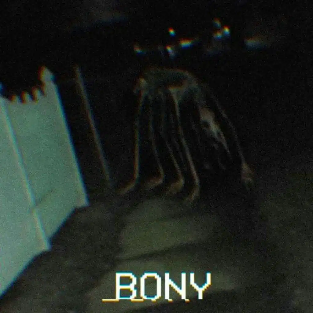 Bony