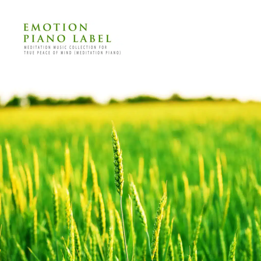 Meditation Music Collection For True Peace Of Mind (Meditation Piano)