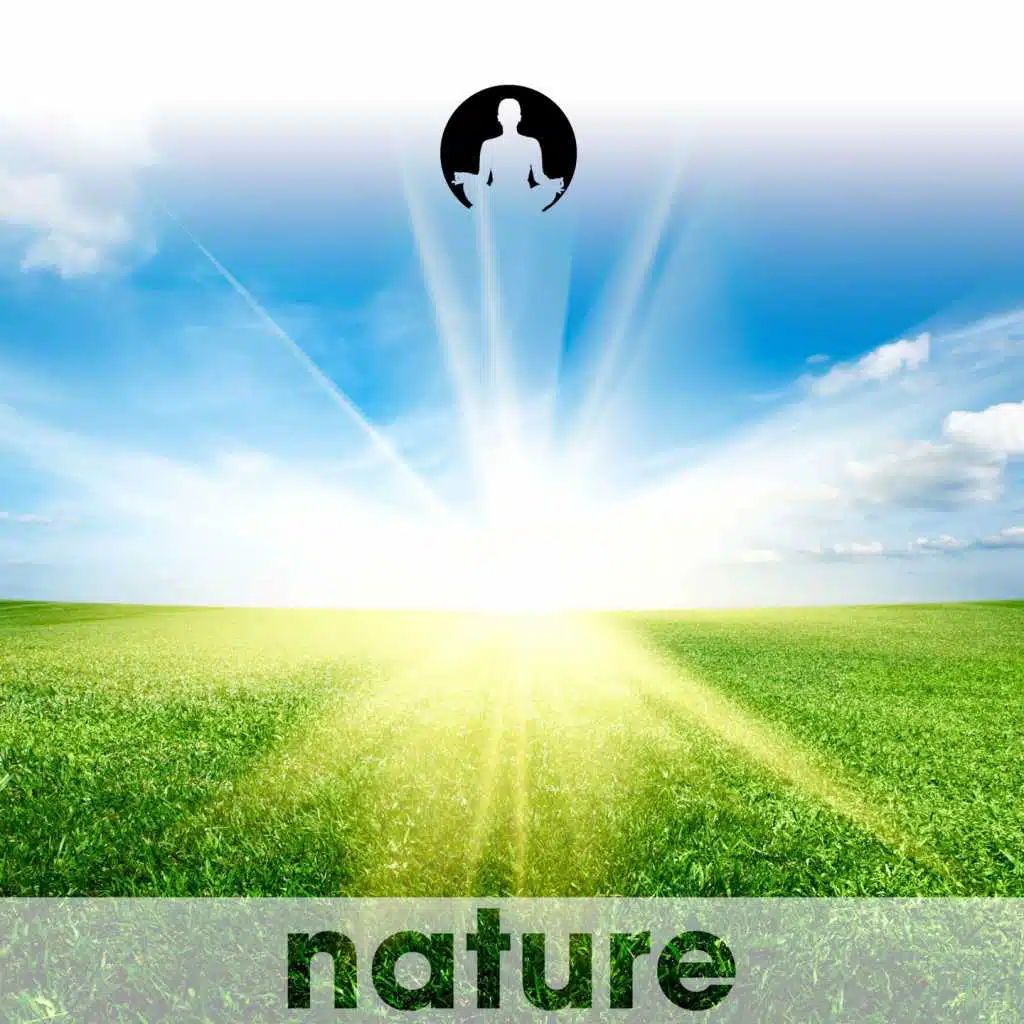 Pan Flute Enchantment