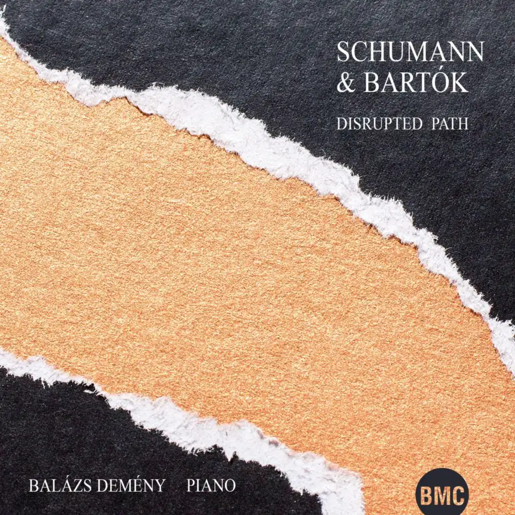 Disrupted Path: Schumann & Bartók