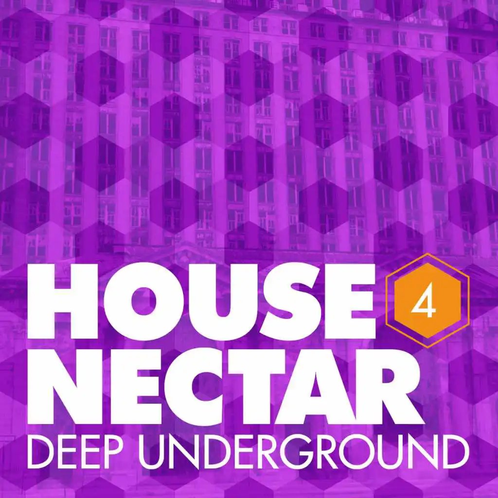 Underground House Nectar, Vol. 4