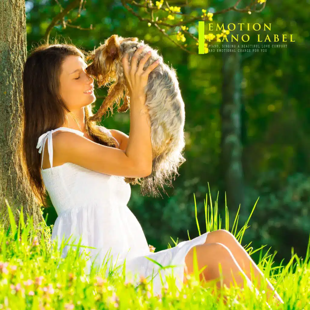 Happy Afternoon Friend Like Emotional Piano Melody