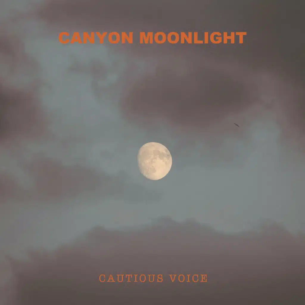 Canyon Moonlight