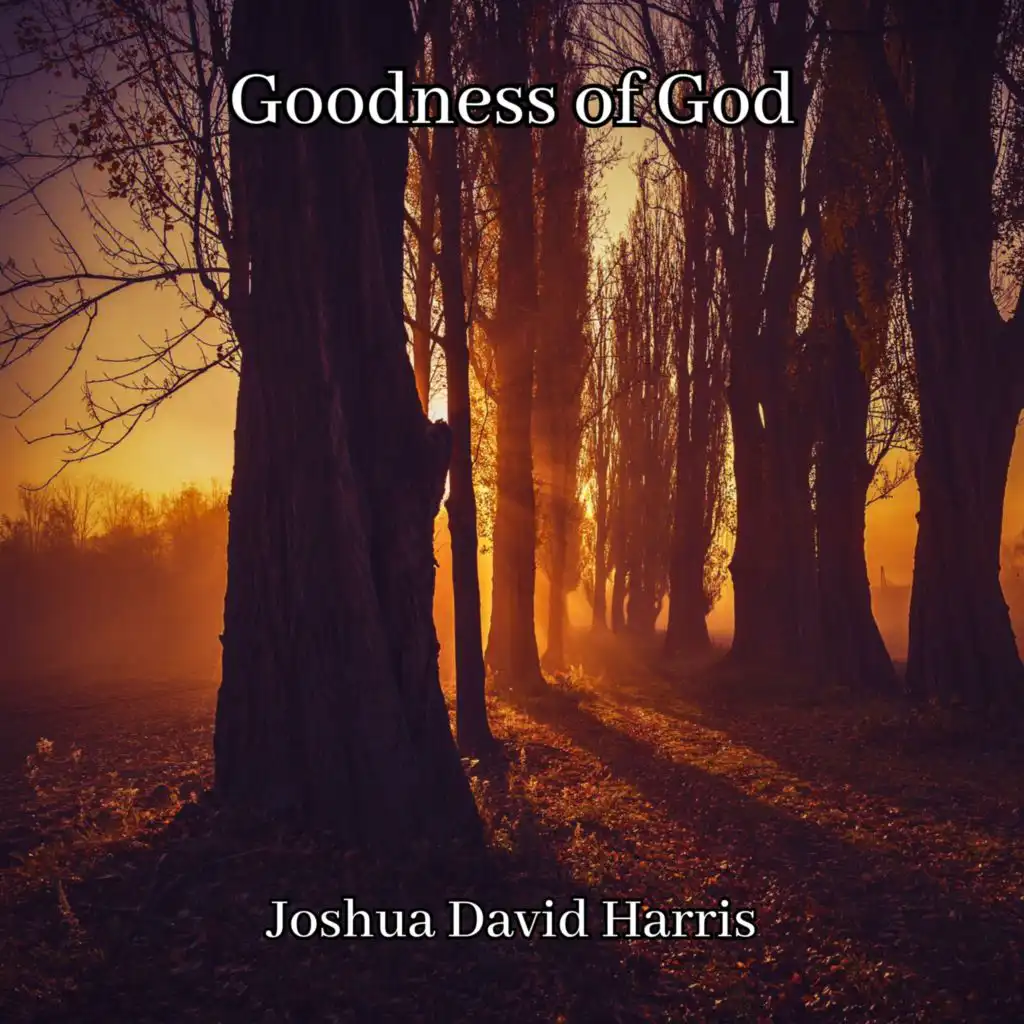 Joshua David Harris