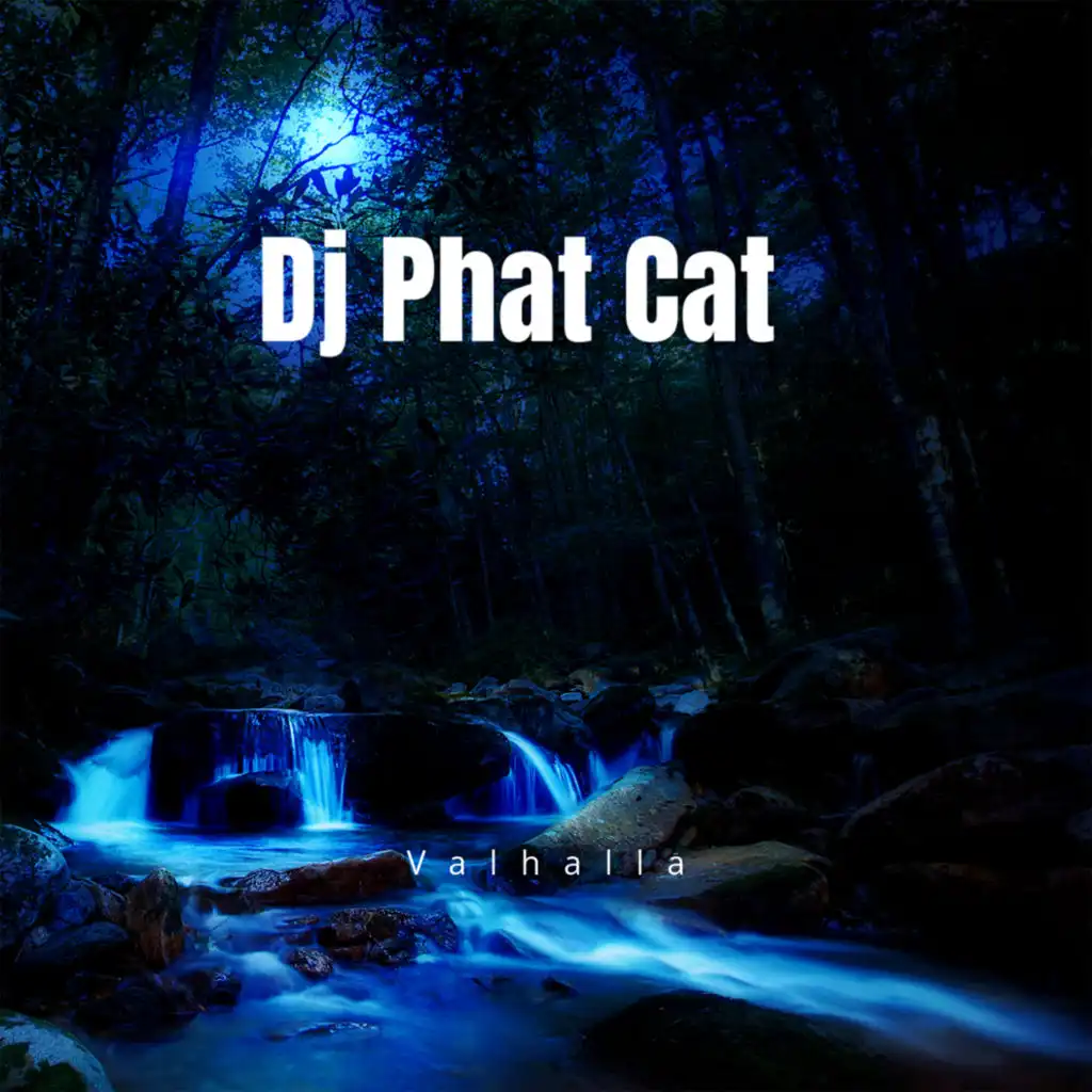 Dj Phat Cat