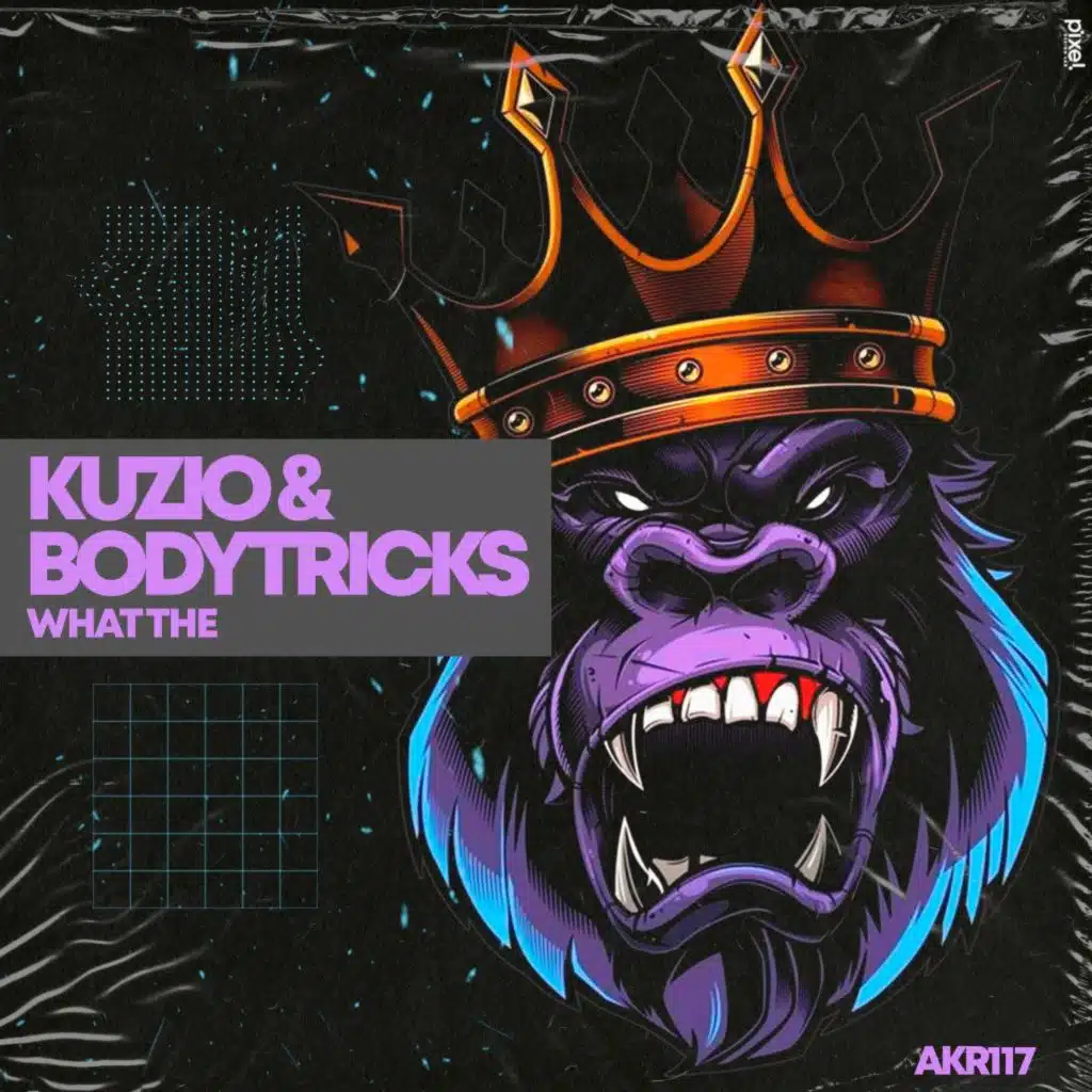 Kuzio & Bodytricks