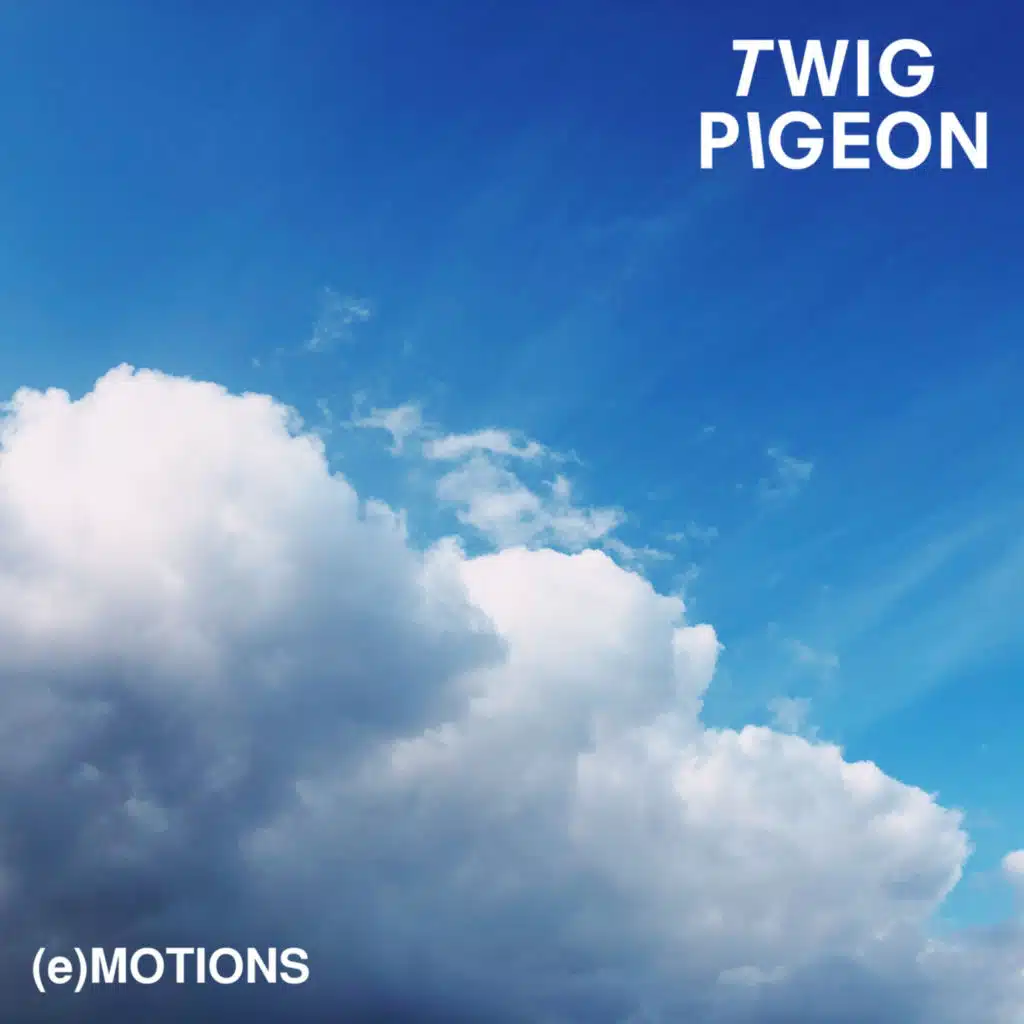 (E) Motions