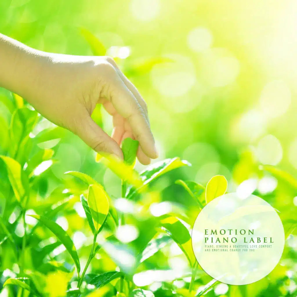 That Far Off Sky (Nature Ver.)