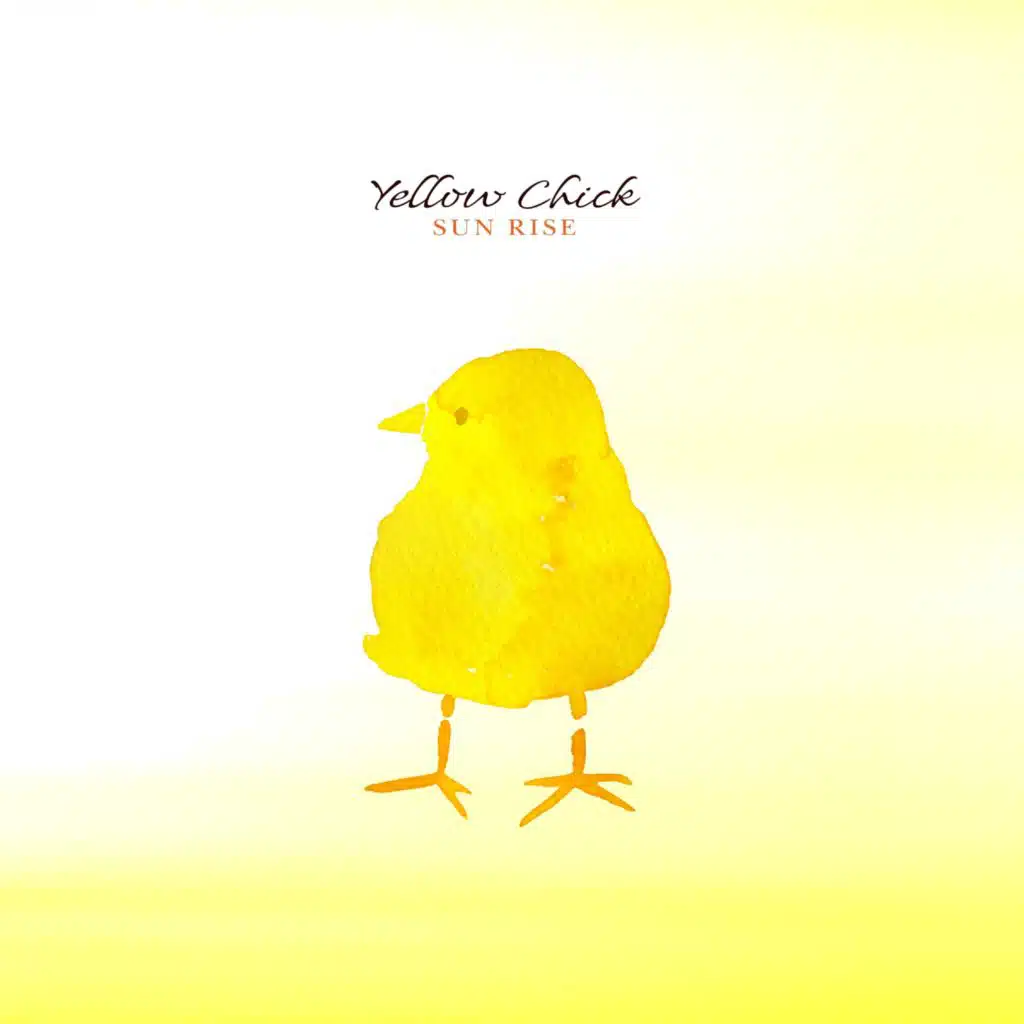 Yellow Chick