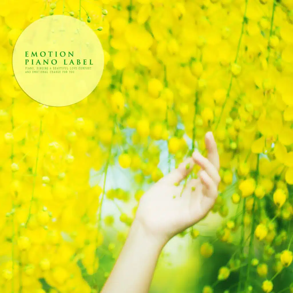 I Will Meet In A Dream (Nature Ver.)