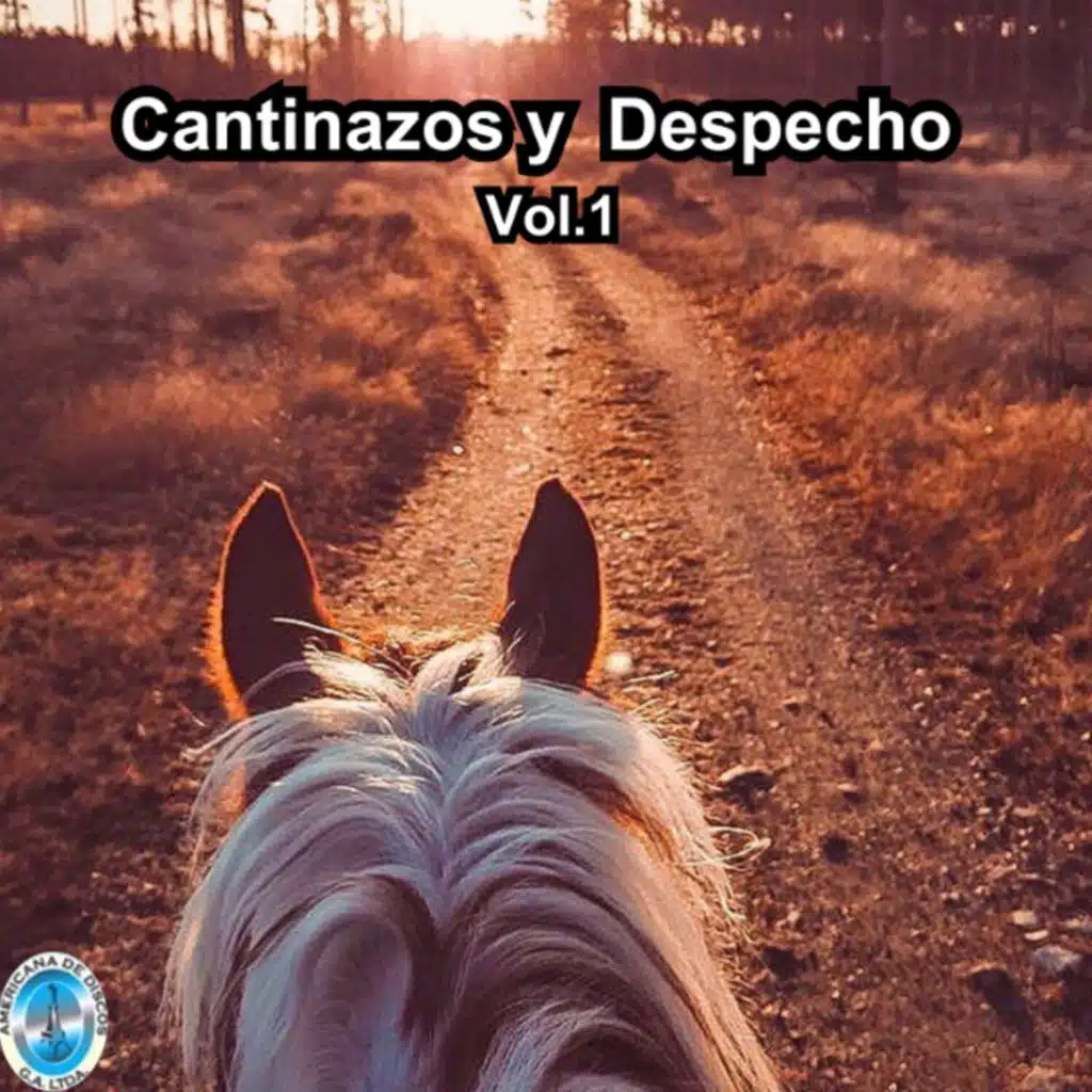 Cantinazos y Despecho, Vol.1