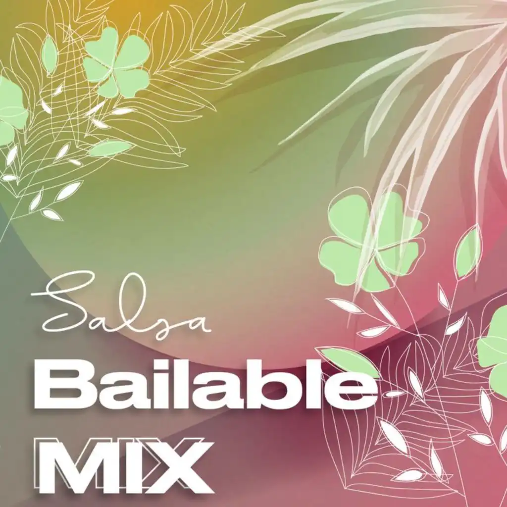 SALSA BAILABLE MIX