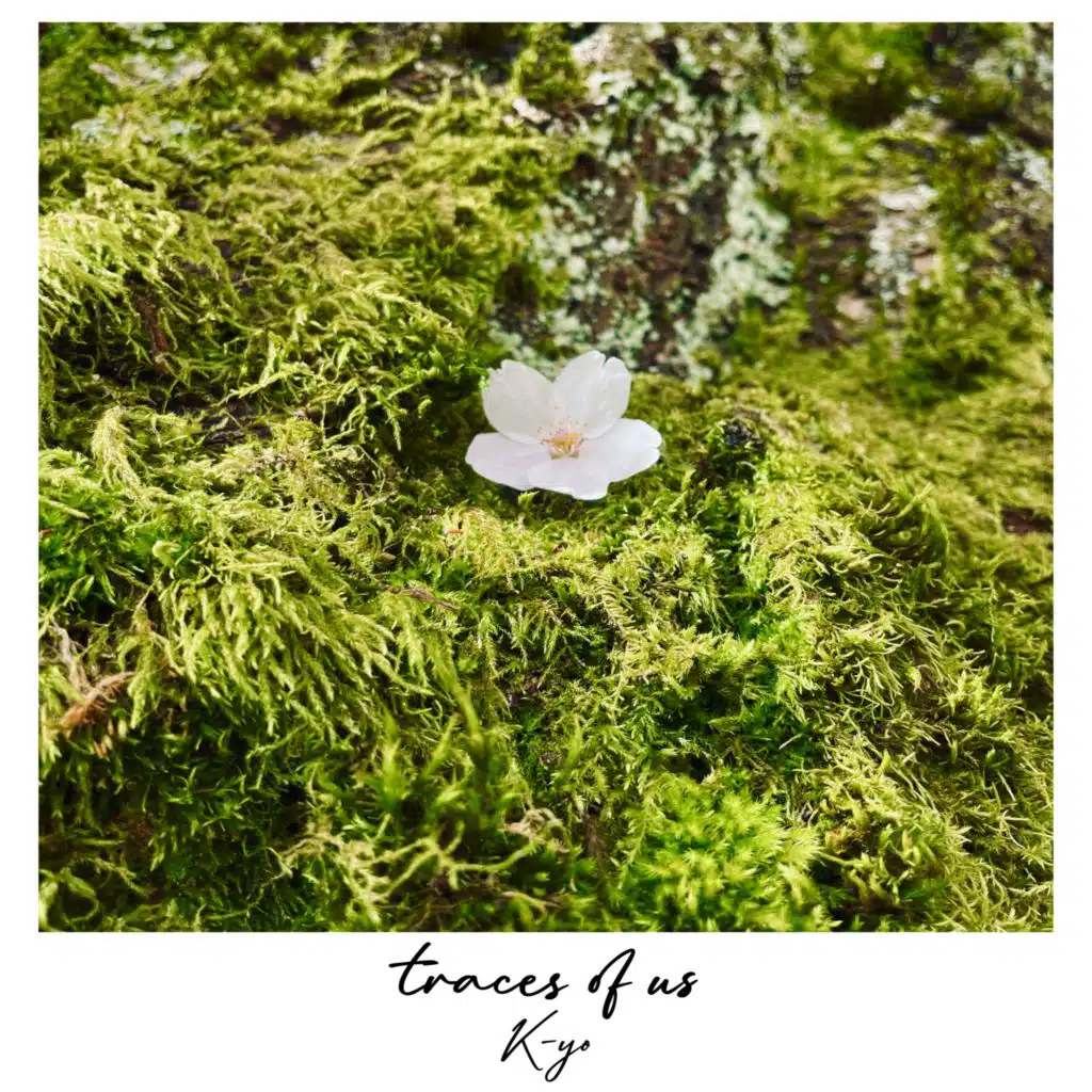 traces of us