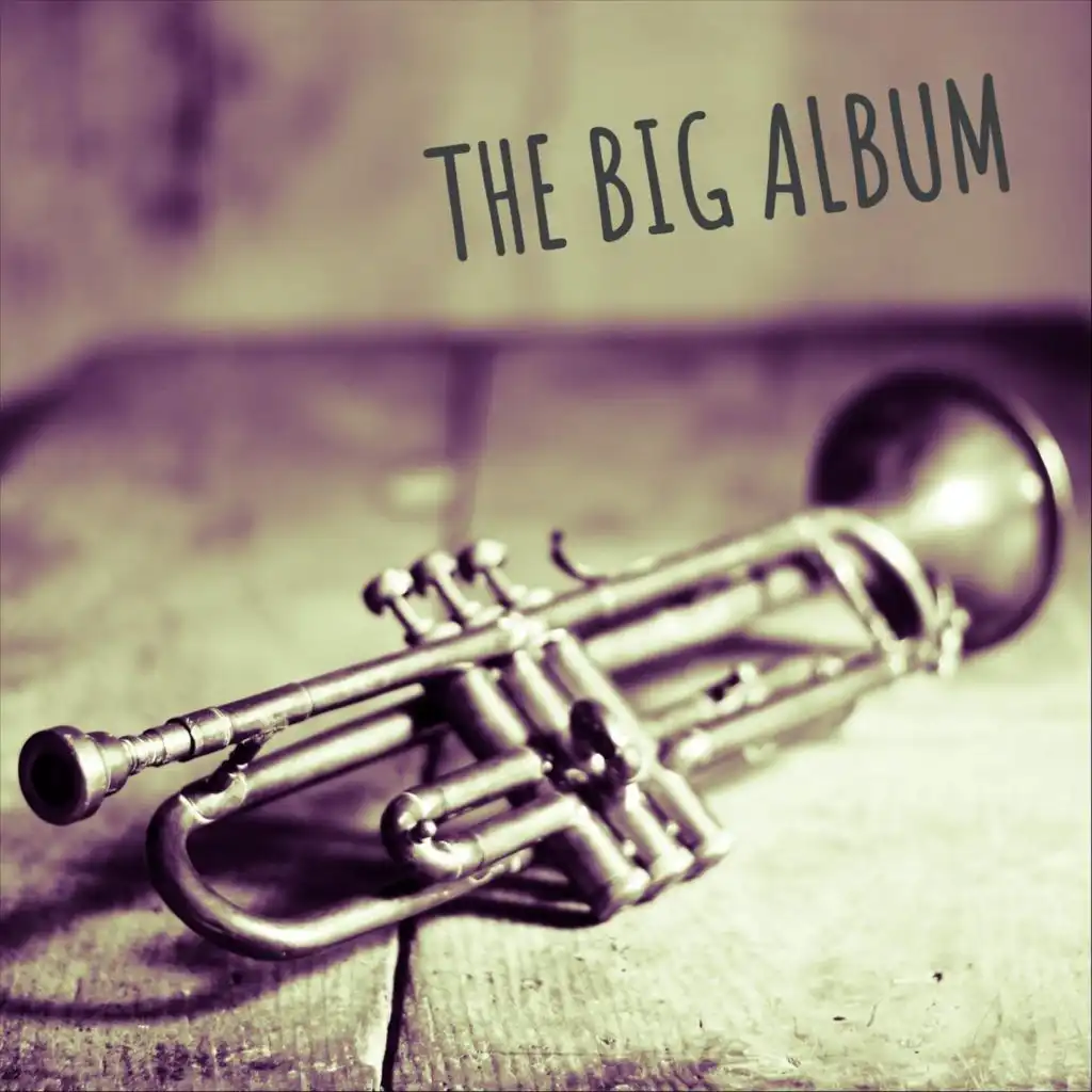 The Big Album