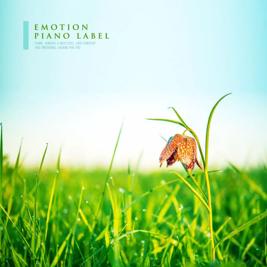 Studying Music To Control Your Mind