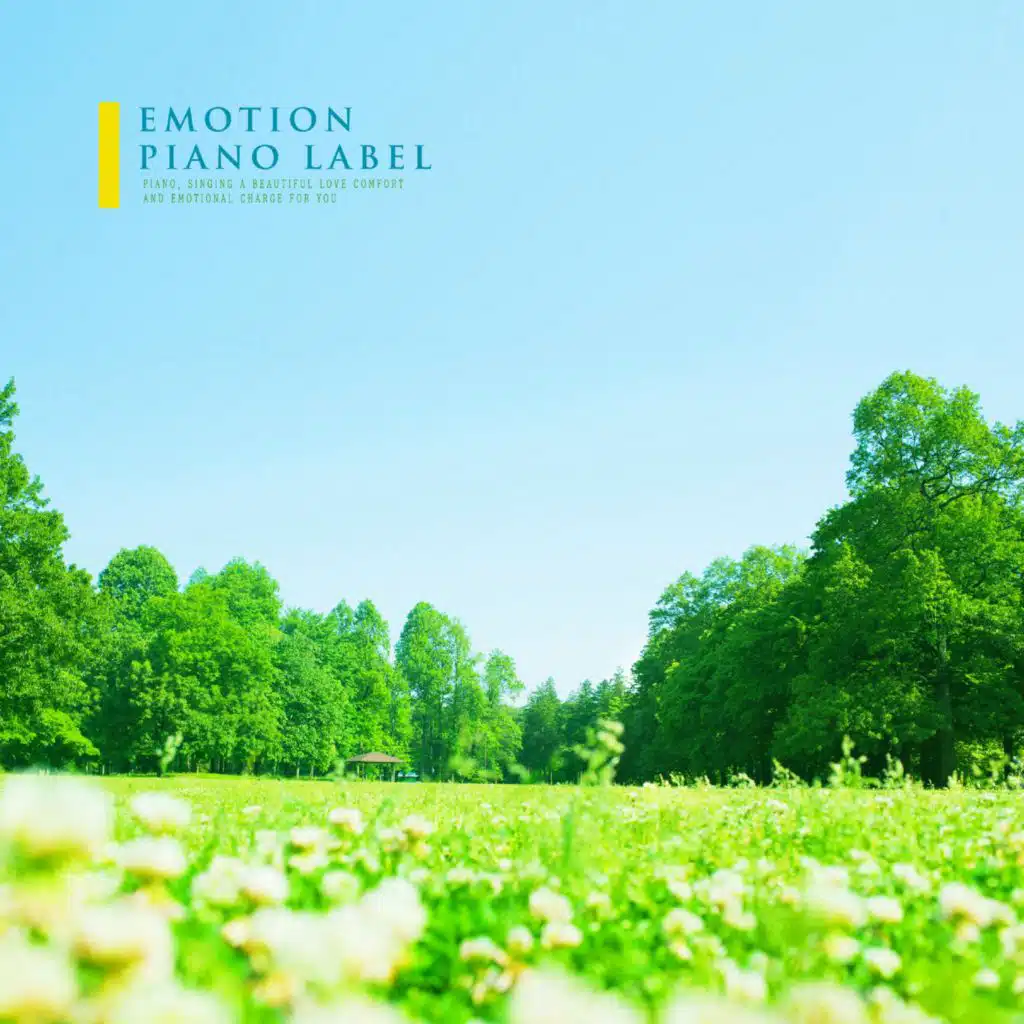 Calm Piano Melody That Flows In Time Of Meditation