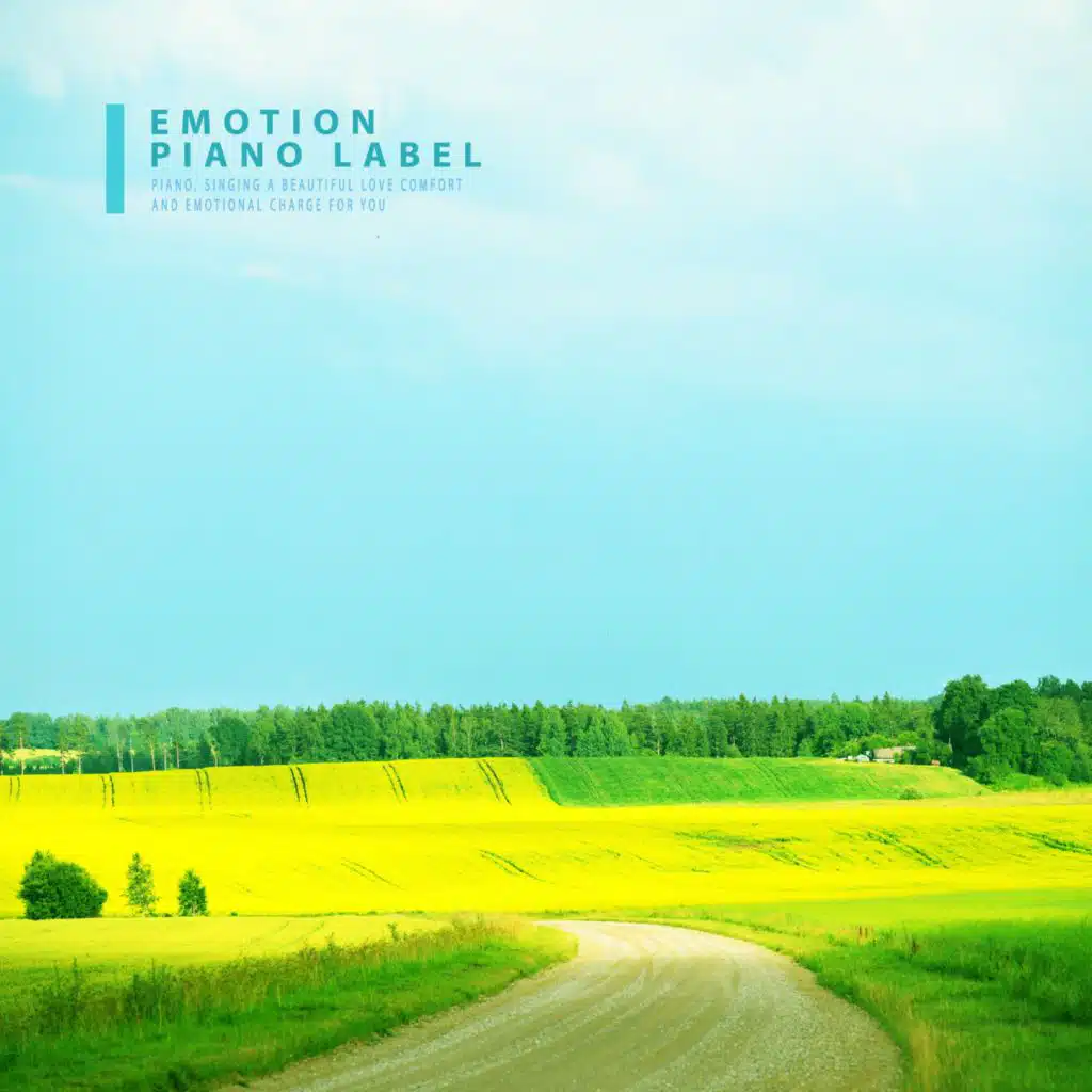 Piano Melody For Studying Children