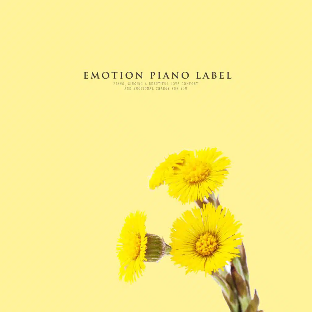New Age Piano Melody