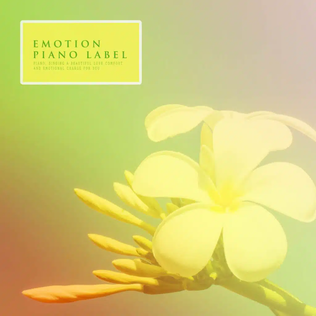 Sensitive Piano Melody Giving Deep Impression