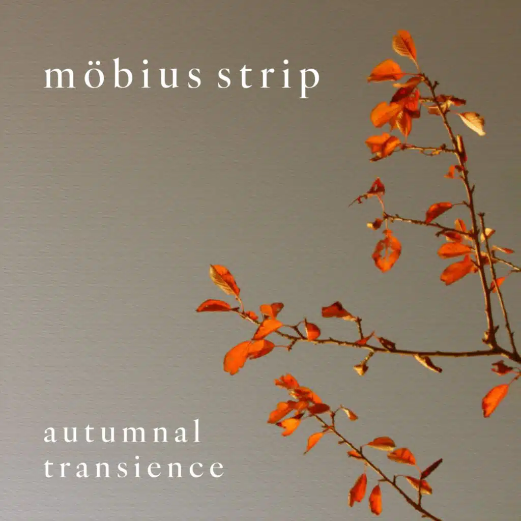Mobius Strip