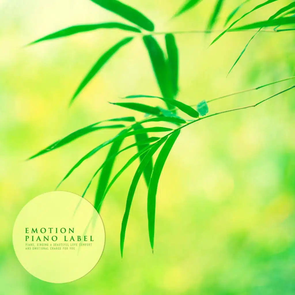 Nature Sound And New Age Piano (Nature Ver.)