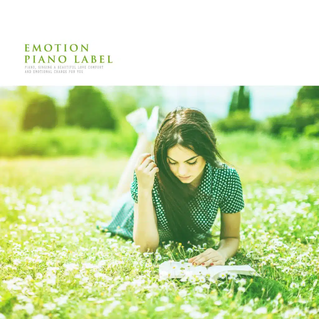 Emotional Piano For Stable Study Time