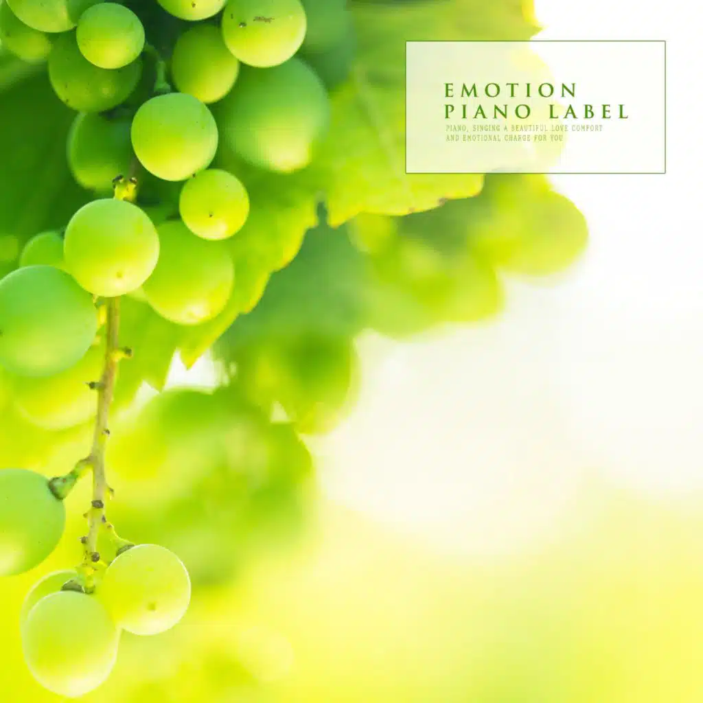 Delicate Piano Singing Nature's Sensibility (Nature Ver.)