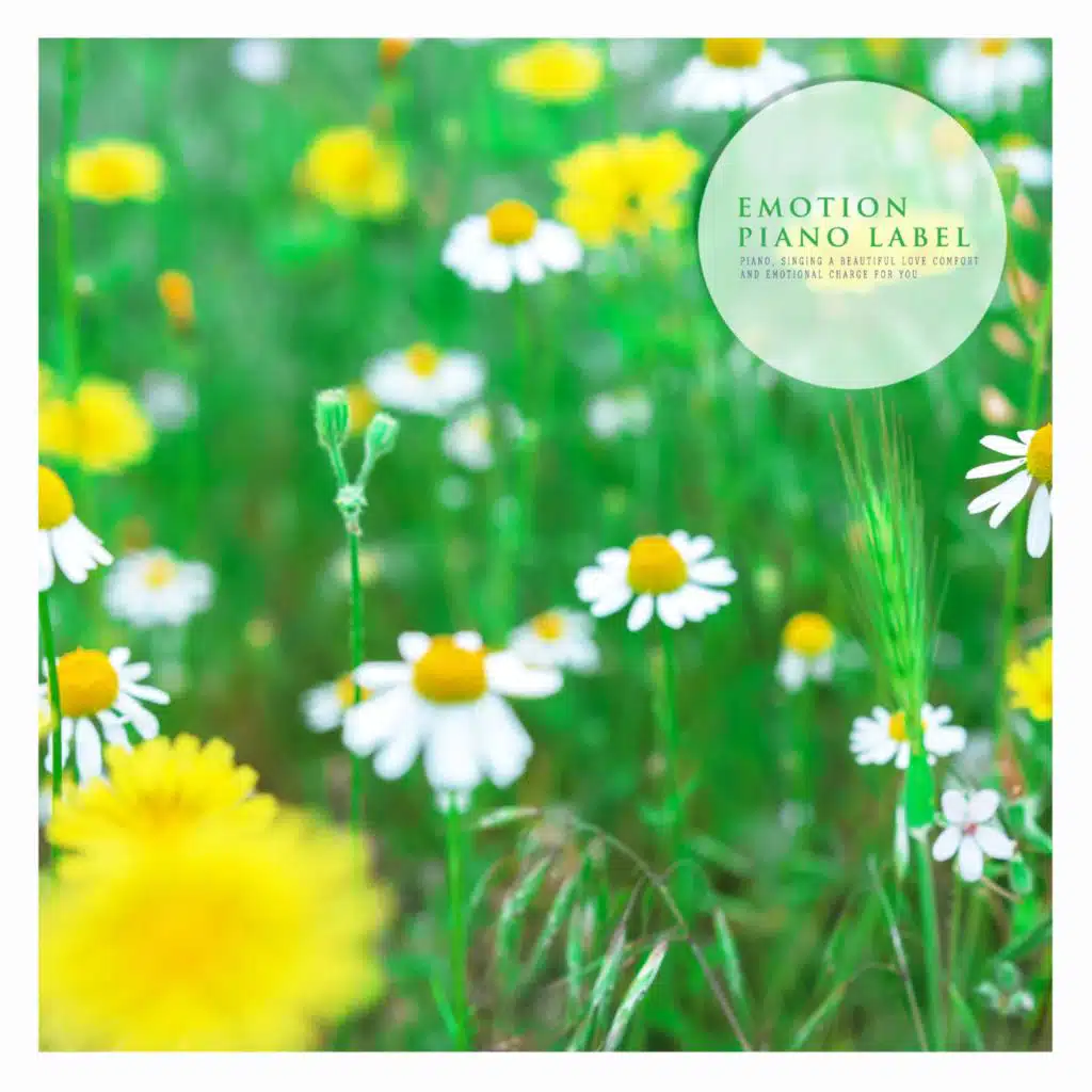 Impressive Piano Collection With Nature Sound (Nature Ver.)