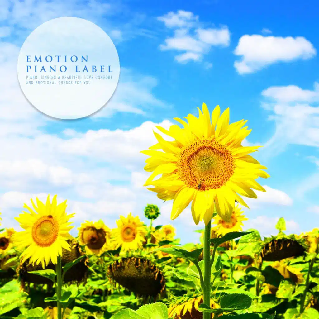 Piano Melody Listening To Warm Summer