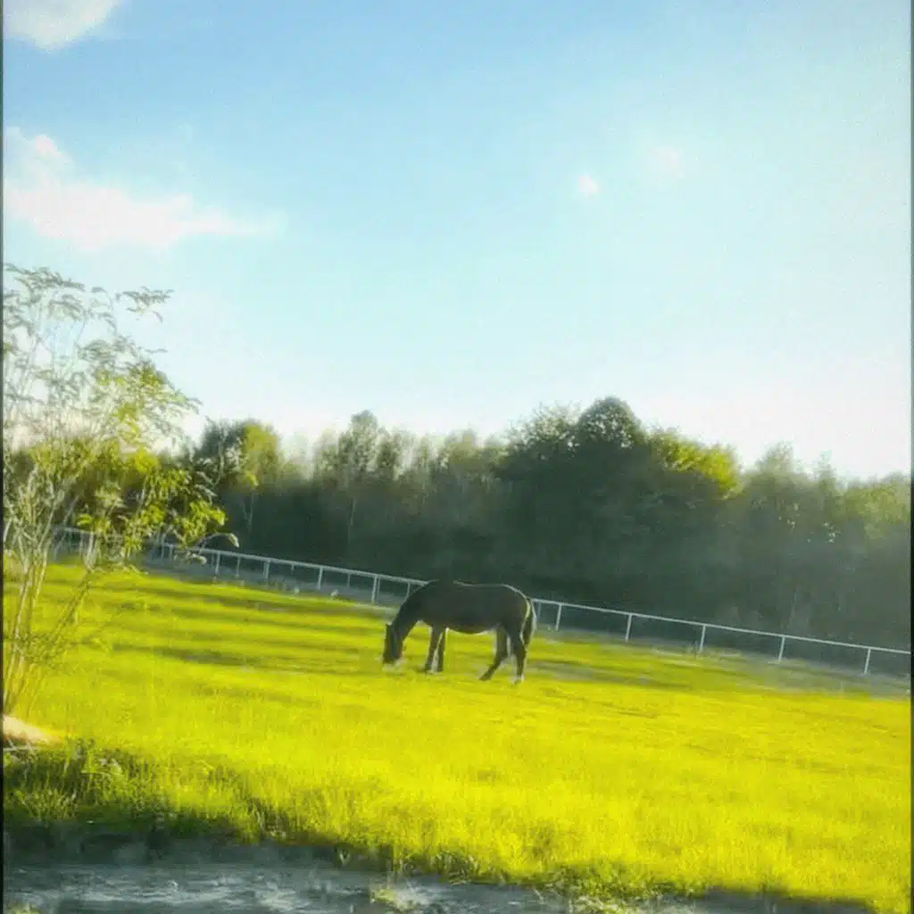 martwa dusza (feat. Cold Soul)