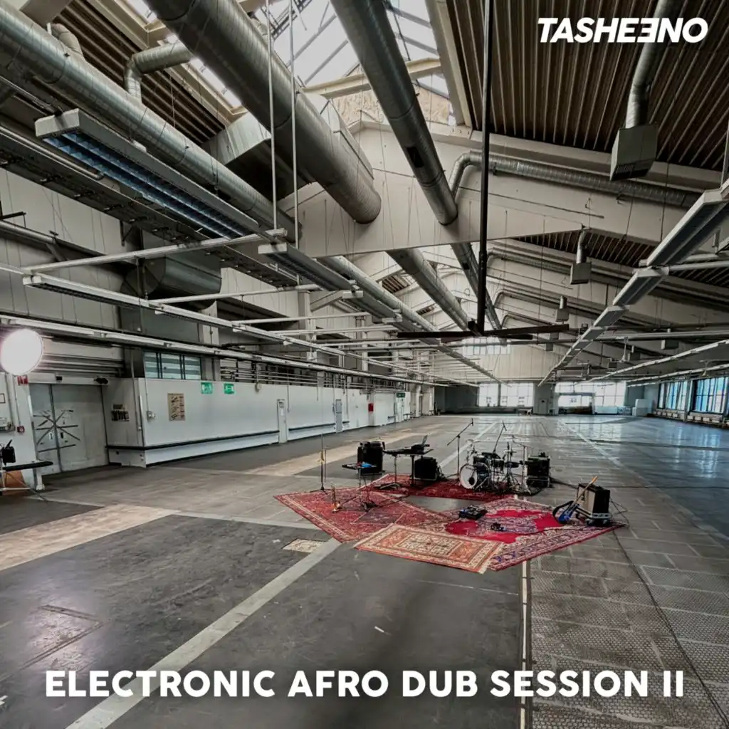 Electronic Afro Dub Sessions II (Live)