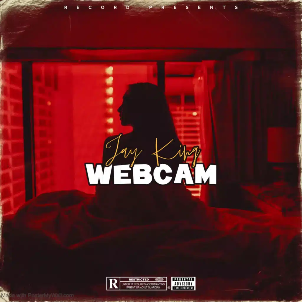 Webcam (En Vivo)