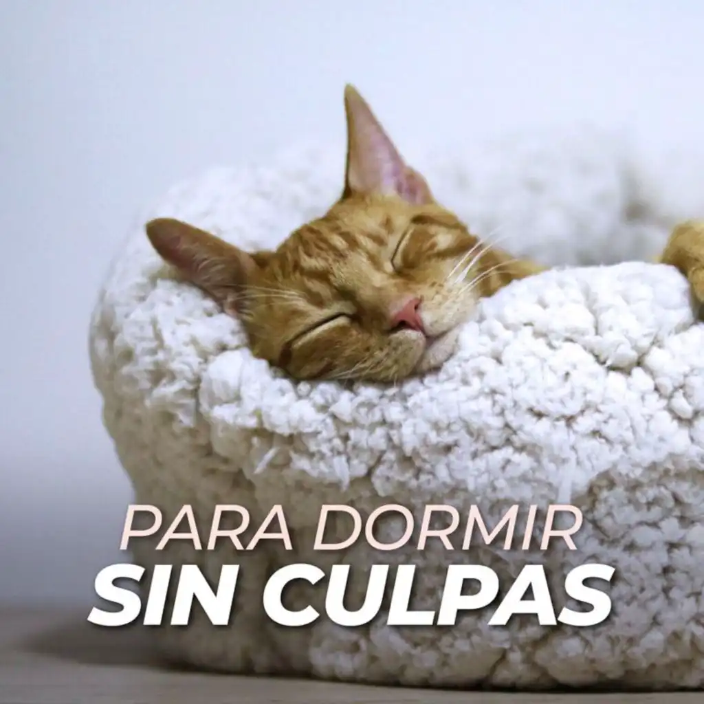 Brighton Festival Chorus, Royal Philharmonic Orchestra & Antal Doráti