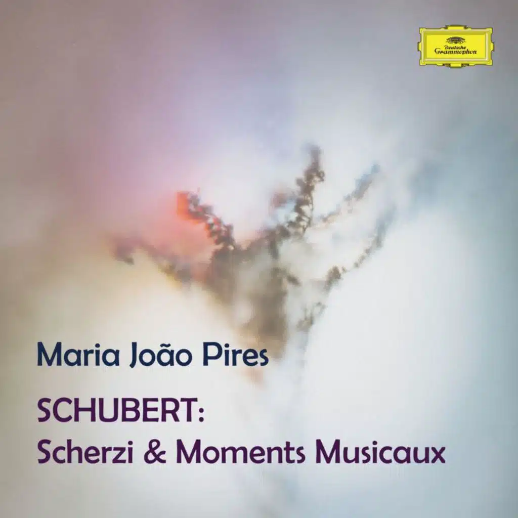 Schubert: Piano Sonata No. 14 in A Minor, D. 784: II. Andante