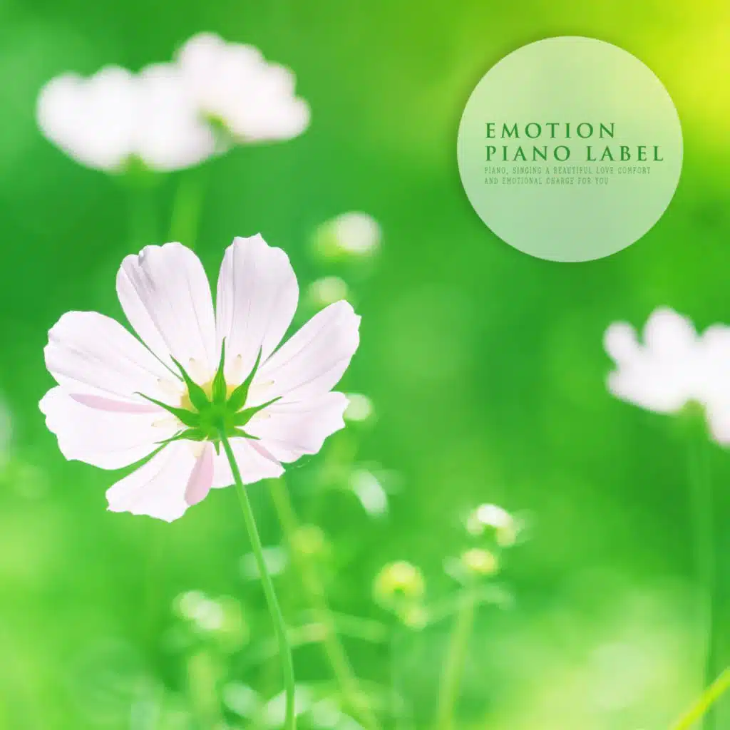 Healing Of A Clear As Spring