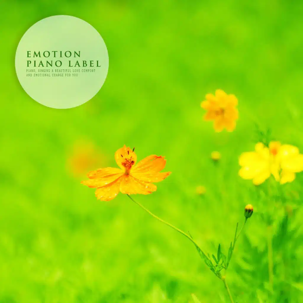 Healing Music Like Spring