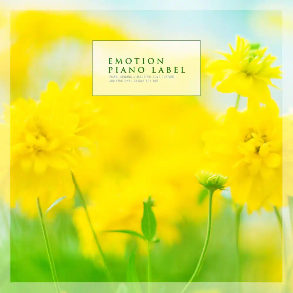 Emotional Piano Playing Helping You Sleep