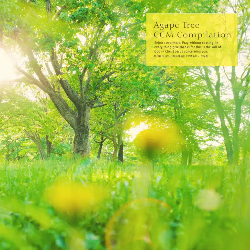 Listening To On The Walkway